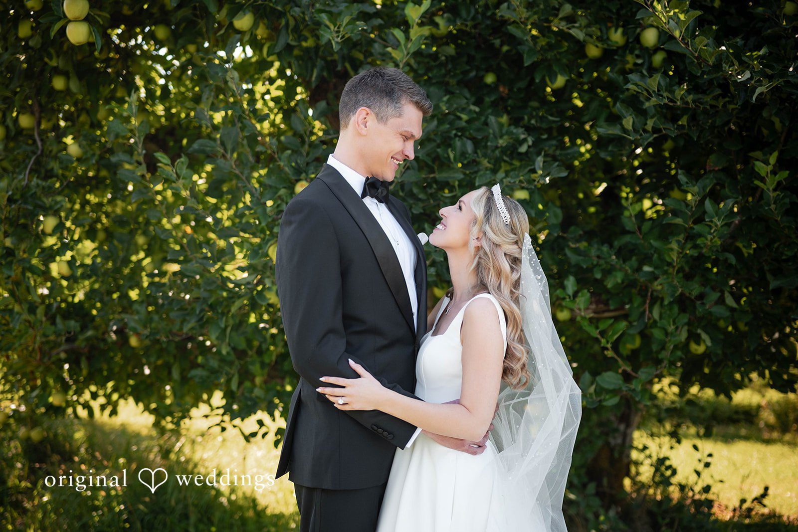 Couple sharing a kiss in the orchard at Mt View Orchards