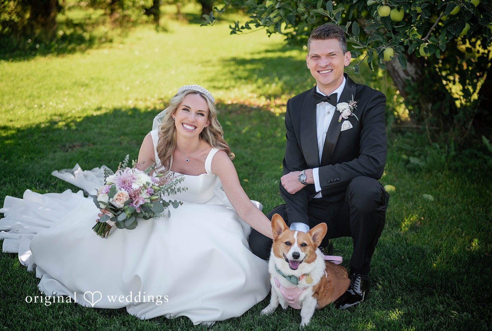 Couple sitting on the grass with their corgi, captured by Portland wedding photographers from Original Weddings at Mt View Orchards