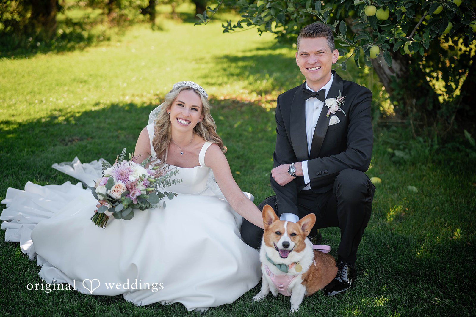 Couple sitting on the grass with their corgi, captured by Portland wedding photographers from Original Weddings at Mt View Orchards