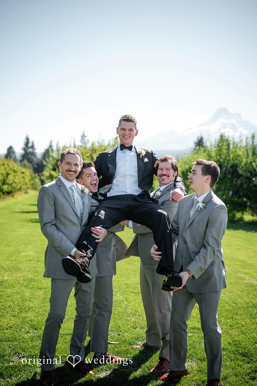 Groomsmen gathered on the lawn
