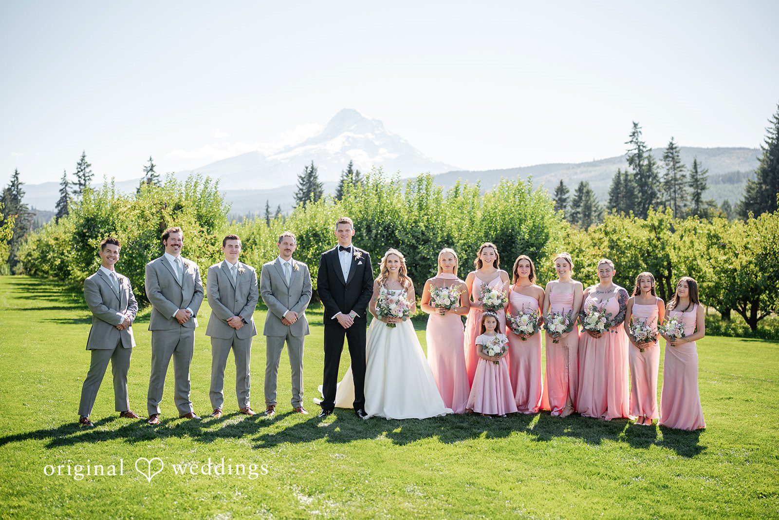 Wedding party lined up on the lawn at Mt View Orchards