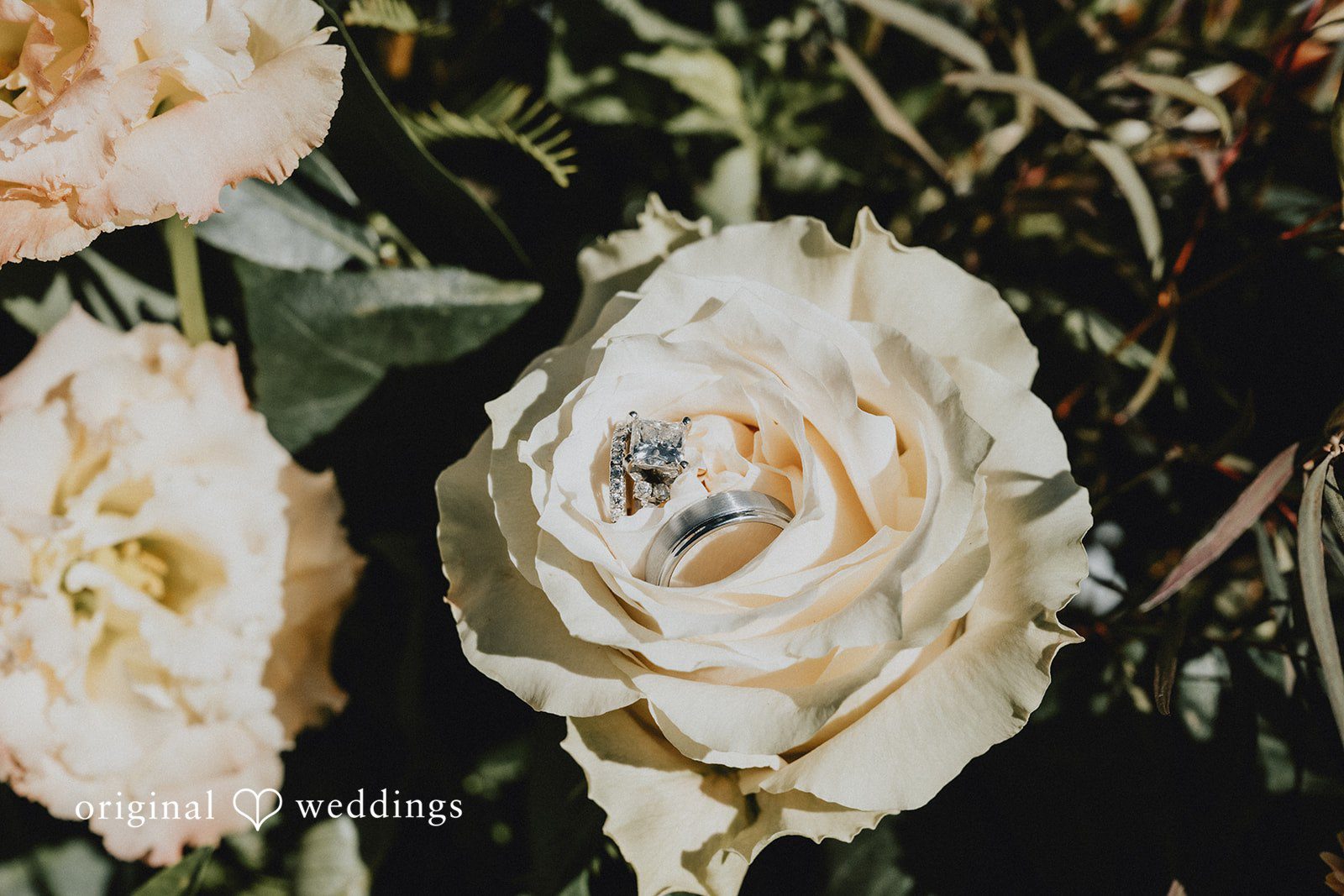 Soft white roses in the wedding florals