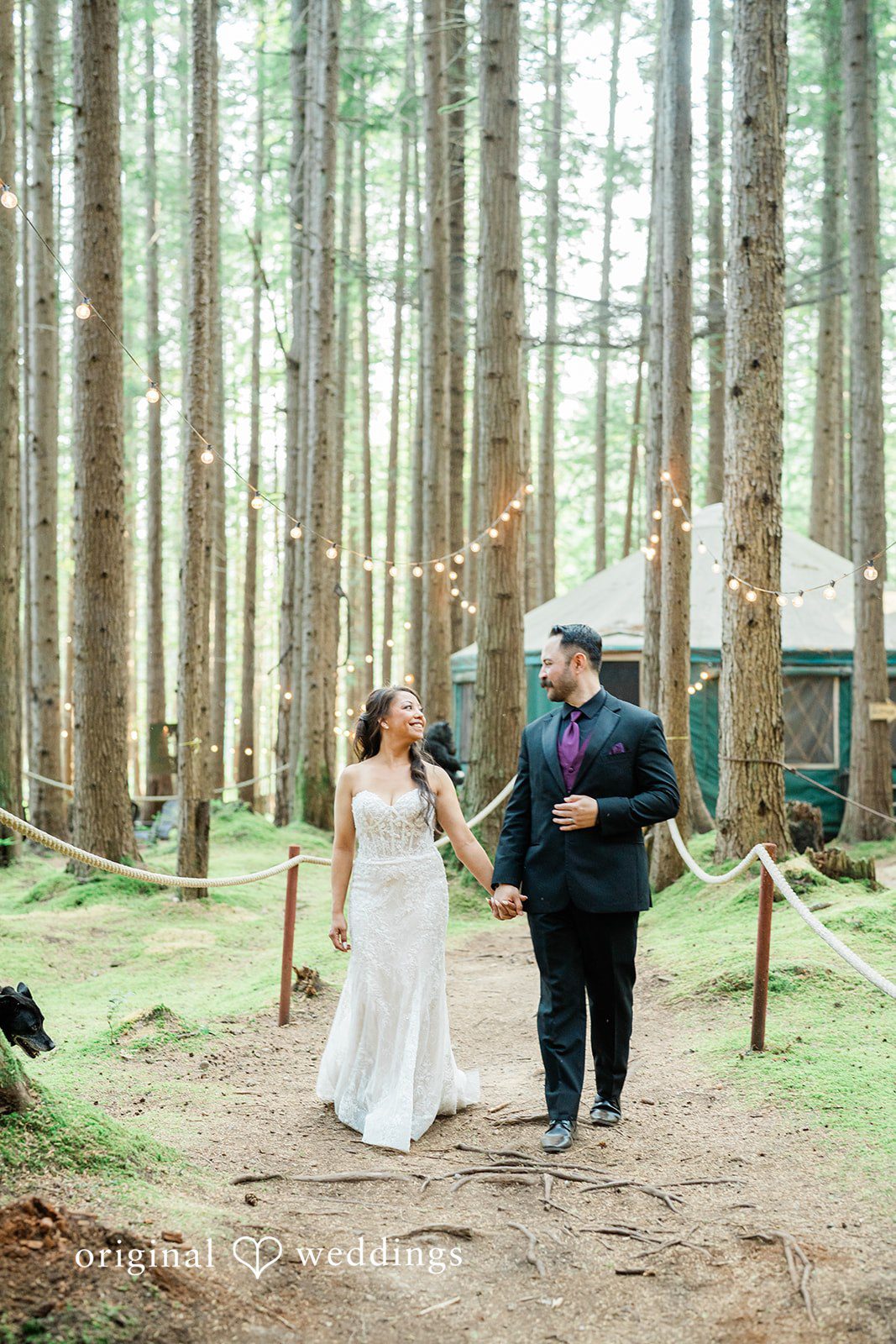 Christopher + Lydia Couple standing small among tall trees at Redmond Emerald Forest