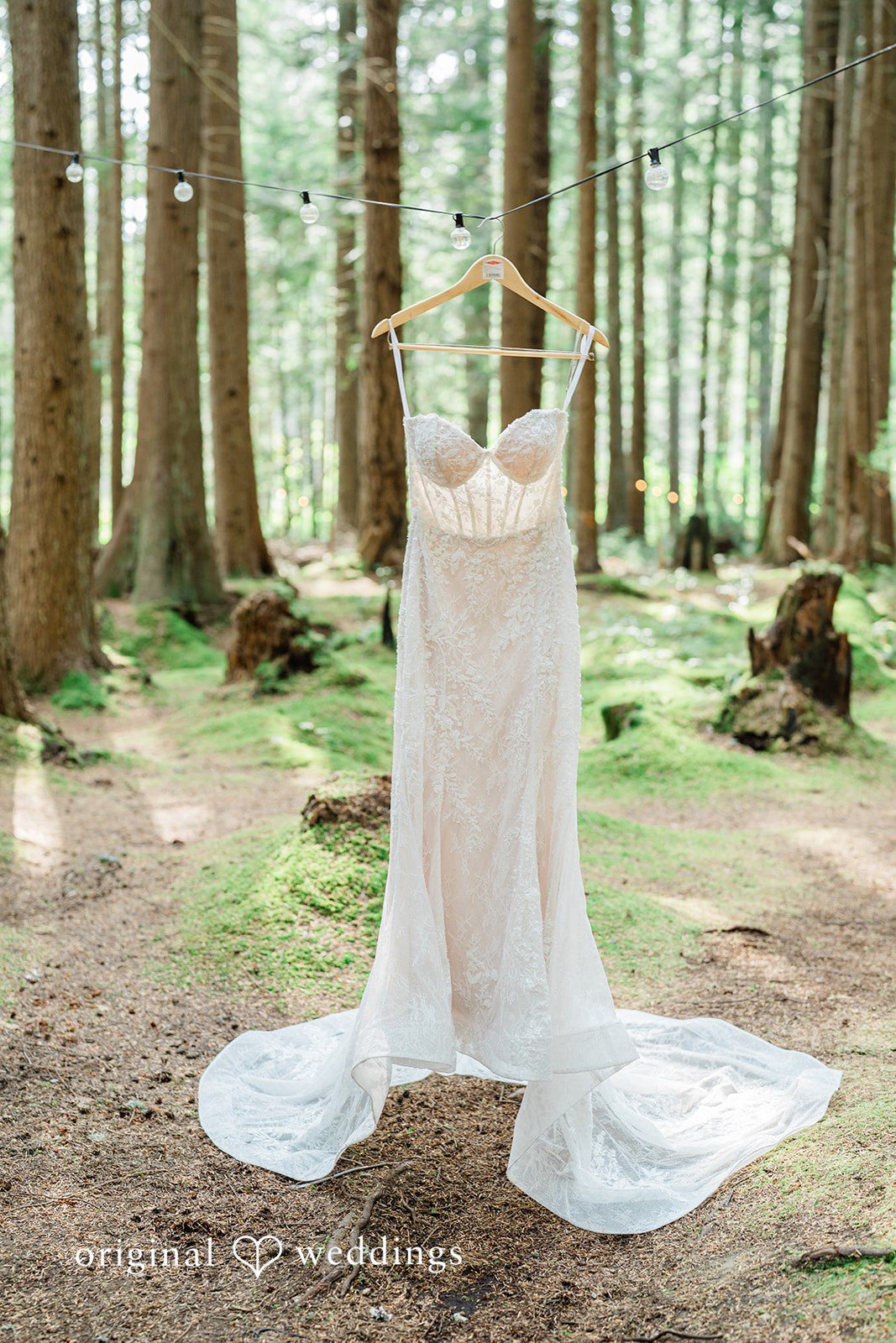 Christopher + Lydia Wedding dress hanging among the trees at Redmond Emerald Forest
