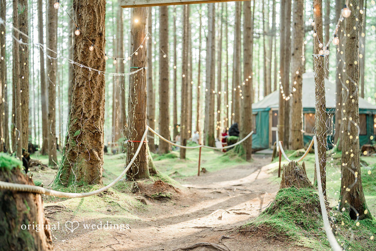 Christopher + Lydia Ceremony area surrounded by tall trees at Redmond Emerald Forest