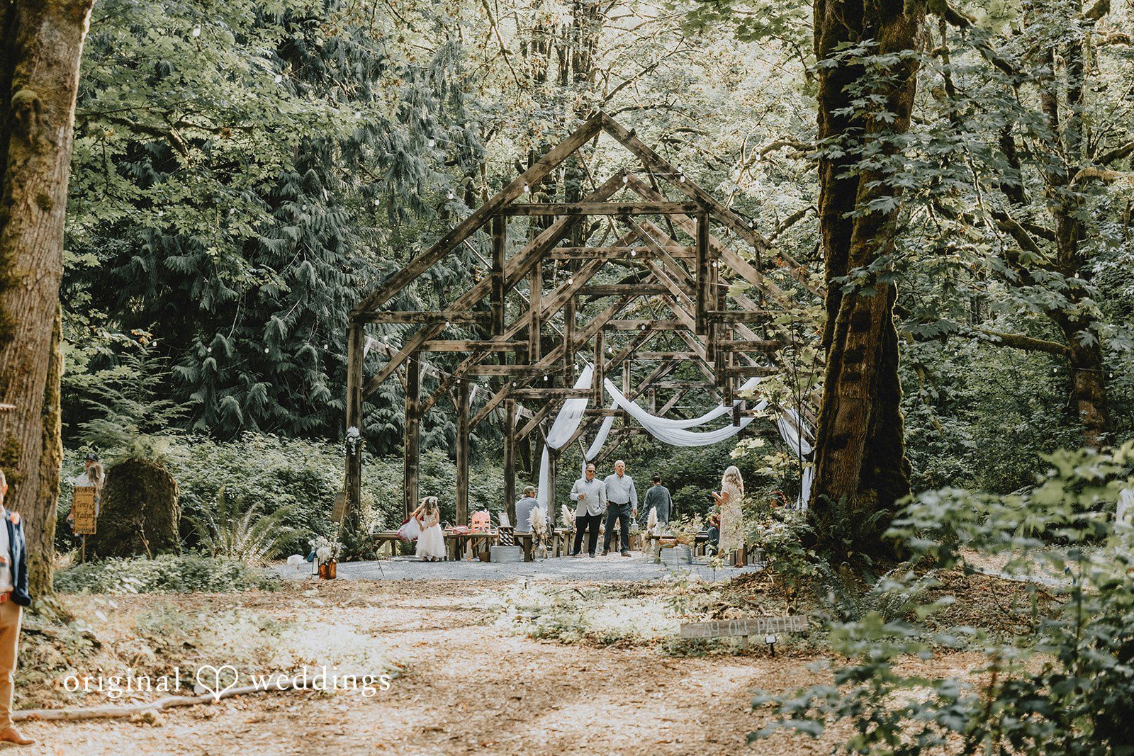 Kailyn + Tony Ceremony setup among tall trees at Samara Farm