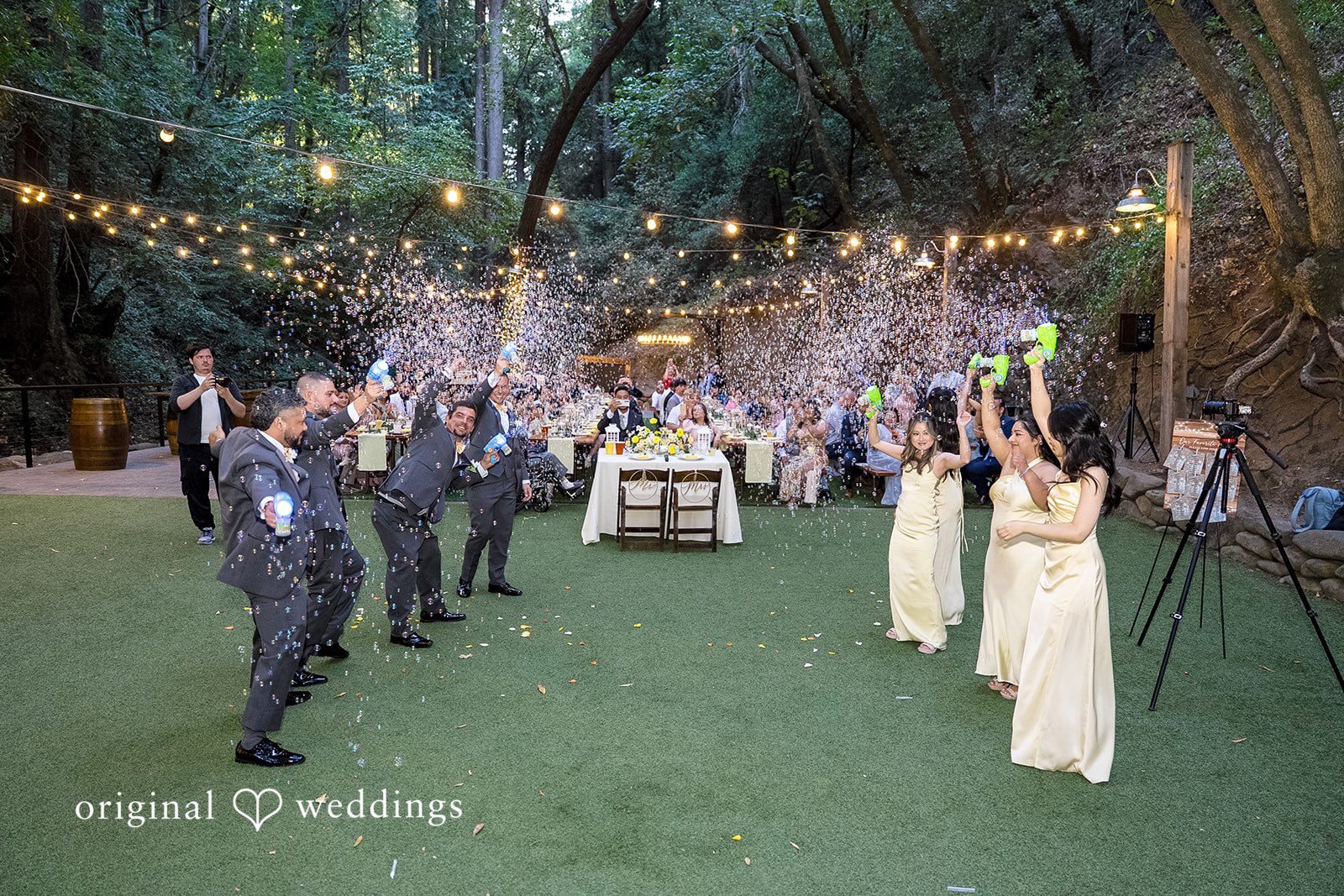 Julia + Brandon San Francisco Wedding Photographers at Saratoga Springs | Julia & Brandon -