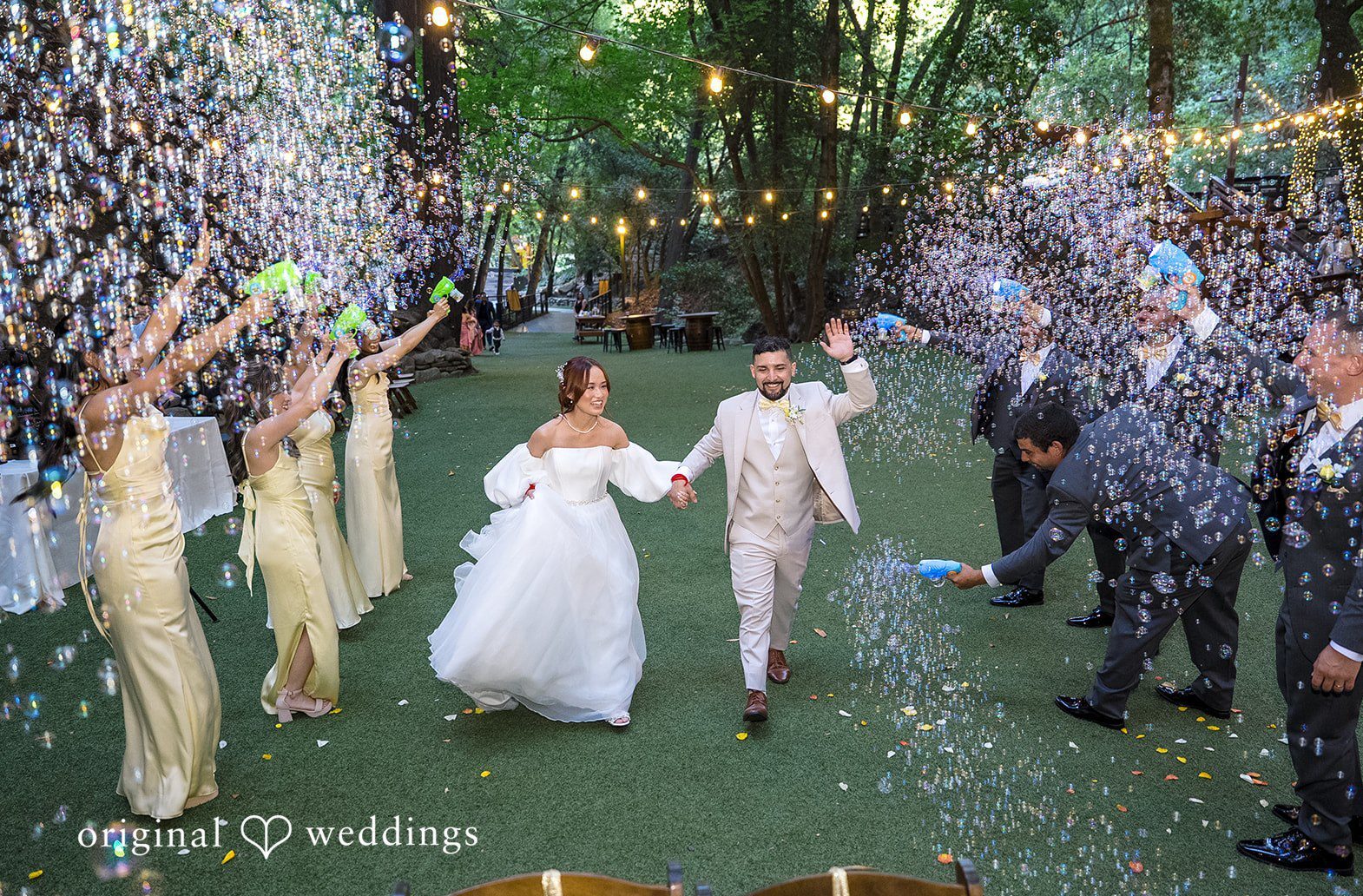 Julia and Brandon’s wedding portrait at Saratoga Springs captured by San Francisco wedding photographers.