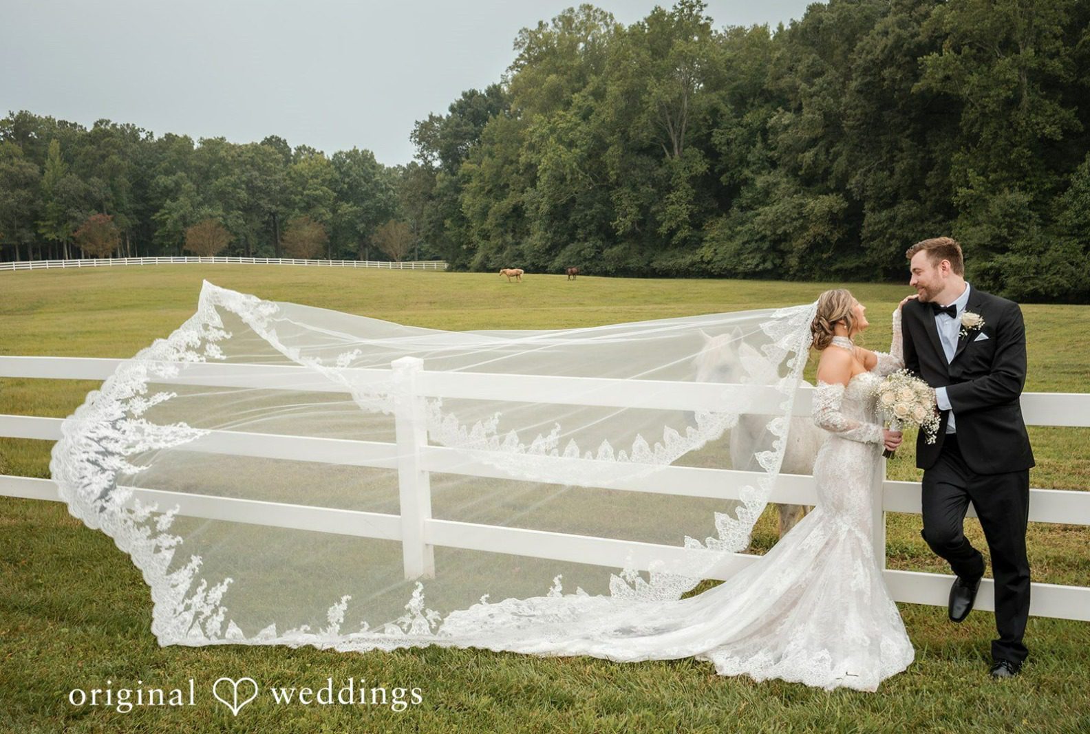 Couple with the veil draped over the fence, captured by Raleigh wedding photographers from Original Weddings at Seven Paths Manor