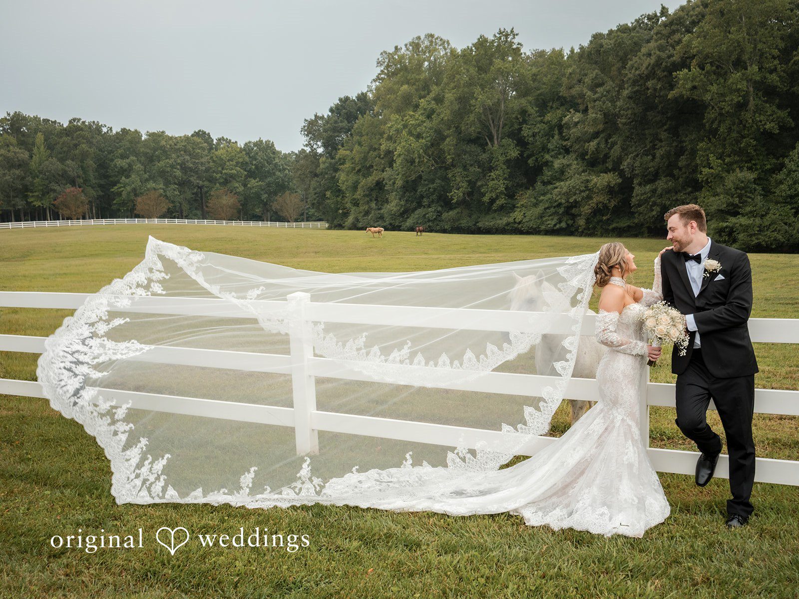 Holly + Adam Couple with the veil draped over the fence, captured by Raleigh wedding photographers from Original Weddings at Seven Paths Manor