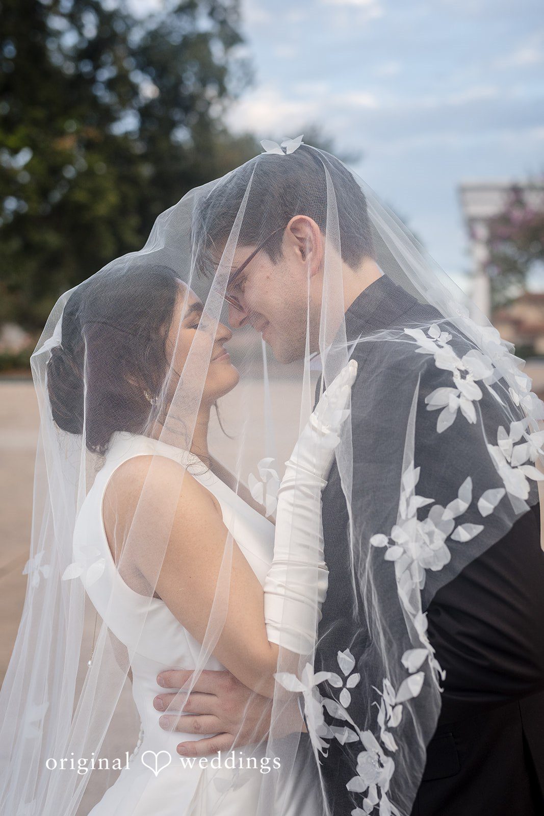 Nicholas + Nisha Bride and groom sharing a close moment under the bridal veil.