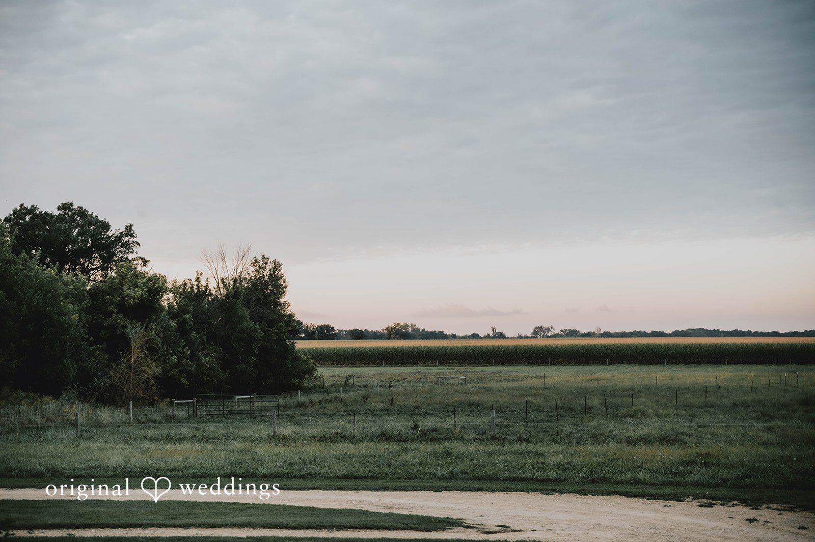 Fields at sunset