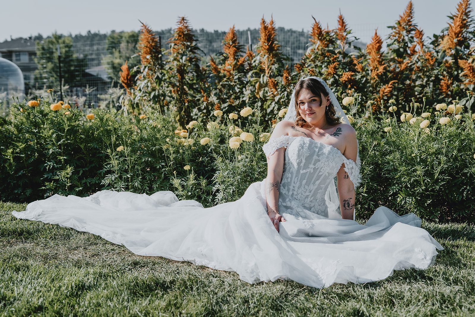 Bride sitting among tall farm flowers