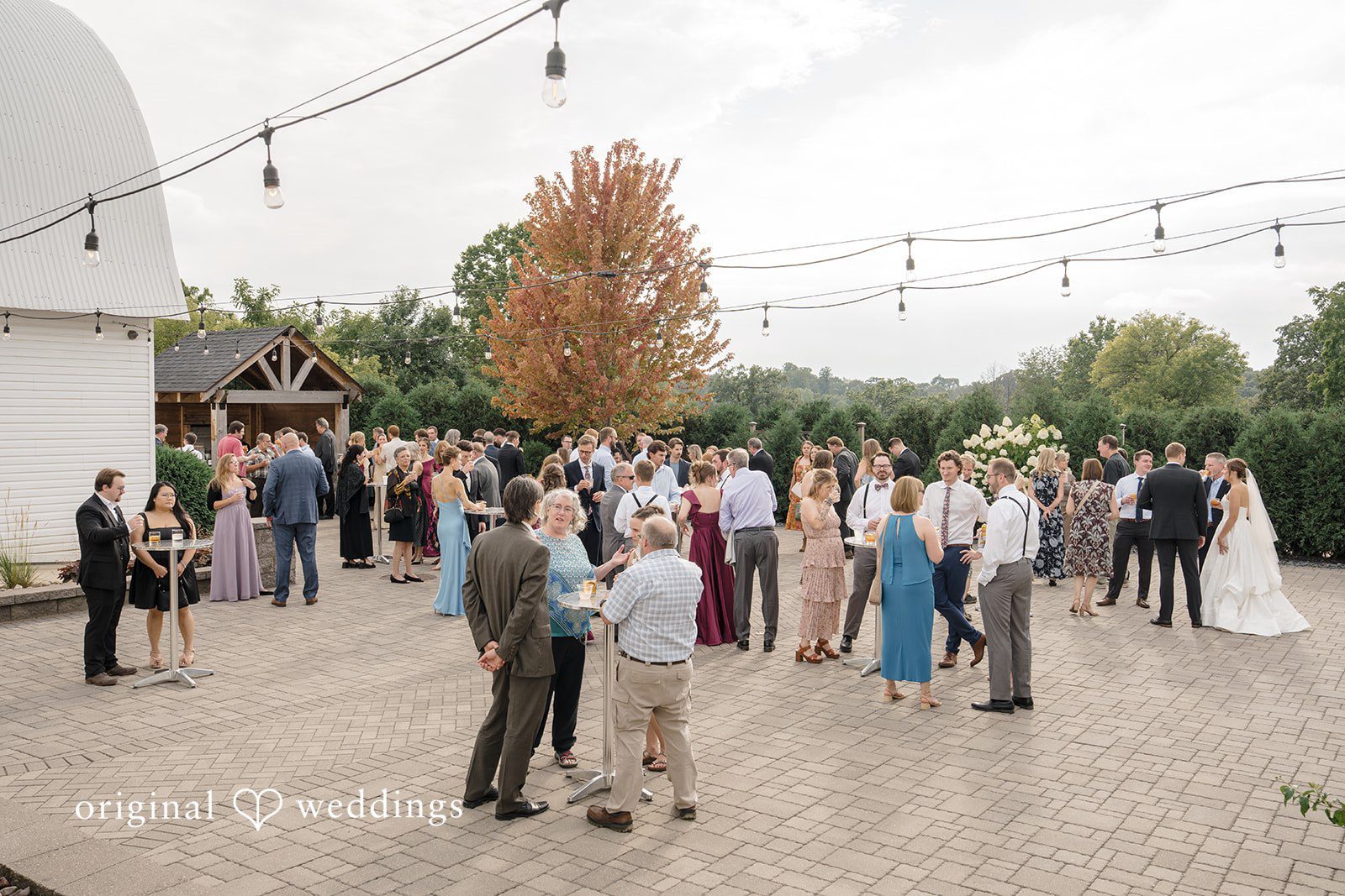 Minneapolis Wedding Photographers at The Madison | Nolan & Angela -