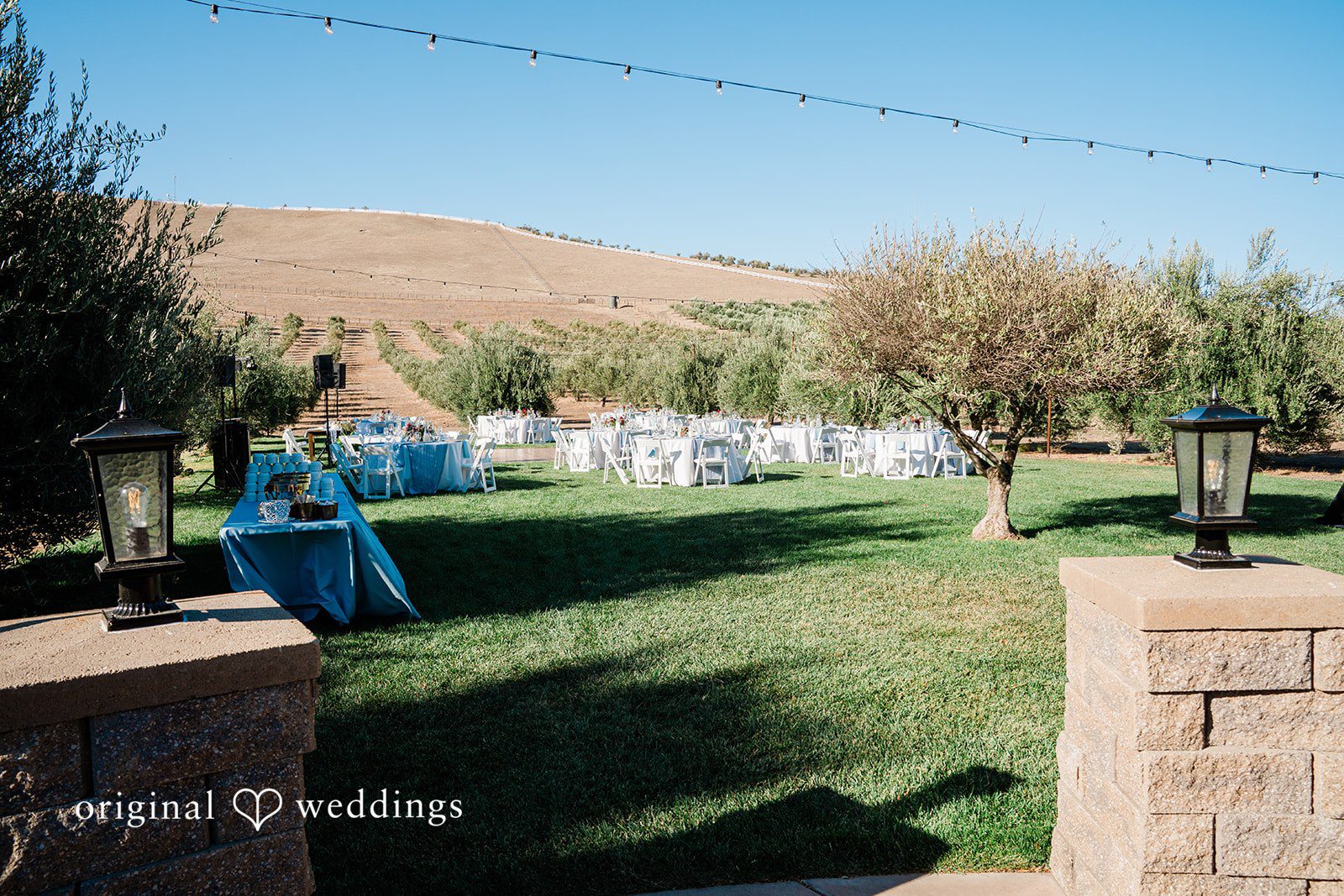 Savannah + Lucas Reception lawn set with tables and string lights at The Purple Orchid