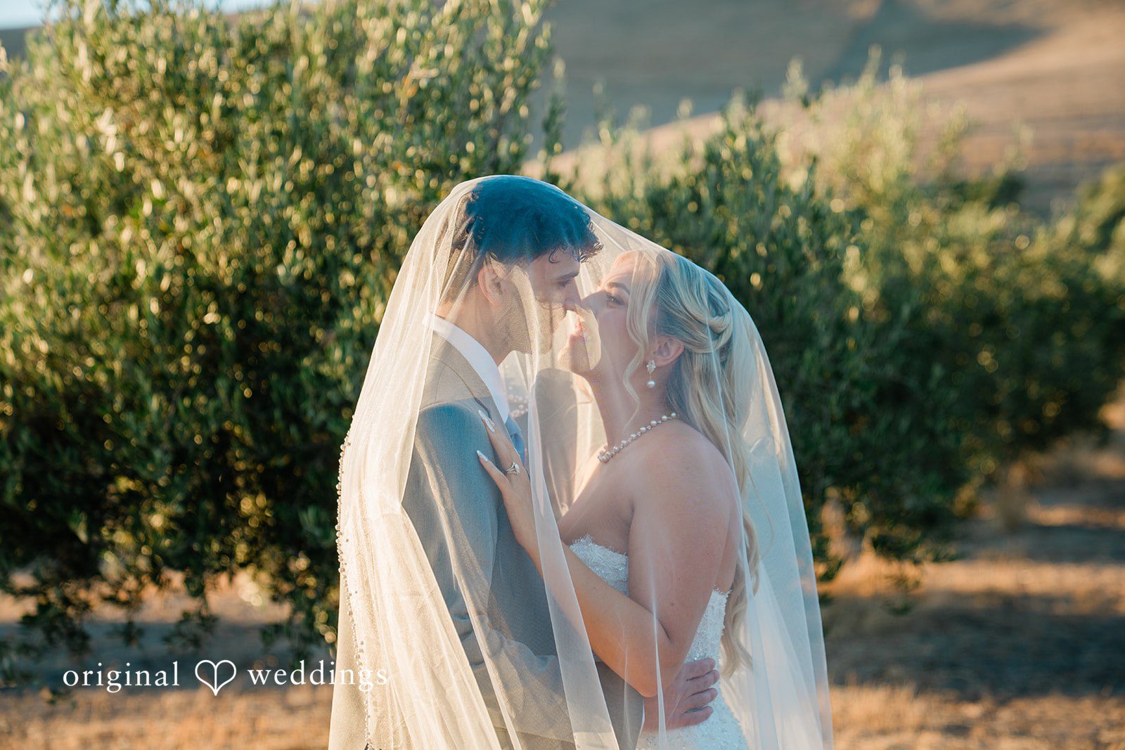 Savannah + Lucas Kiss under the bride's veil in the orchard