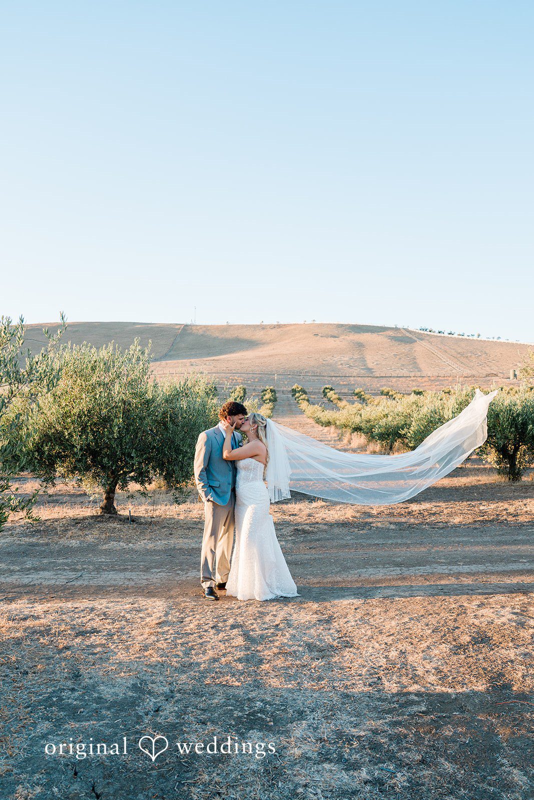 Savannah + Lucas Groom dipping the bride as her veil flows
