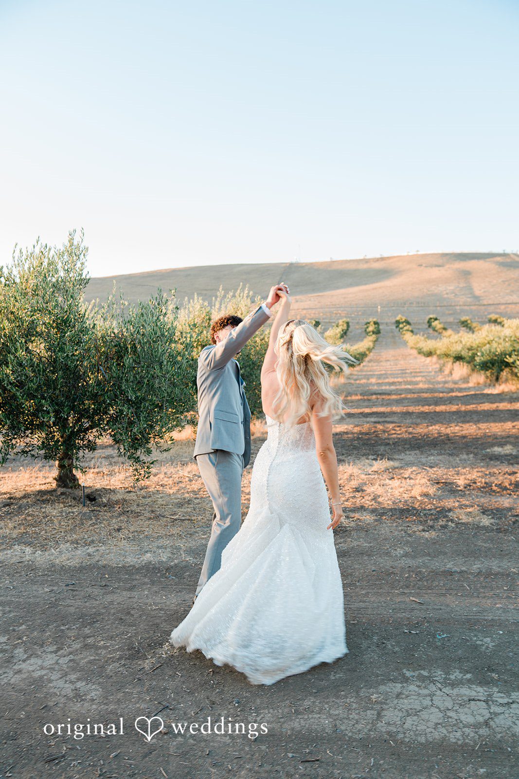Savannah + Lucas Bride in her veil walking through the olive grove