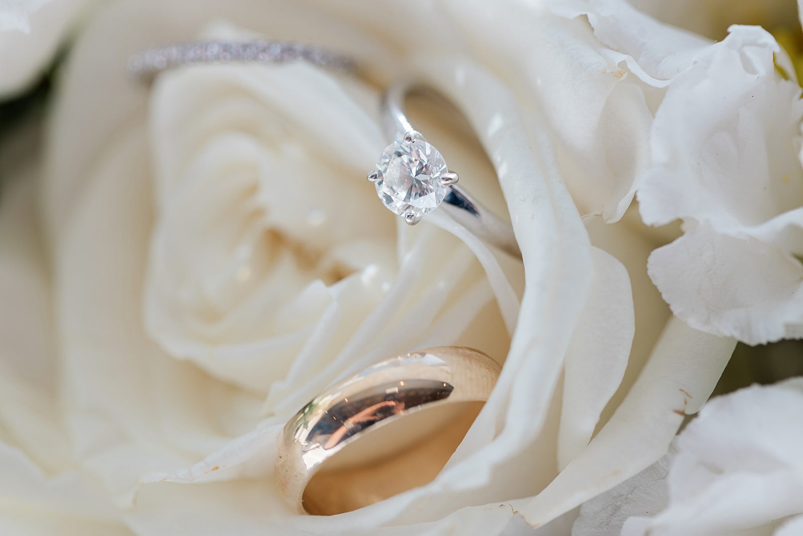 Wedding rings with white roses Wedding rings with white roses
