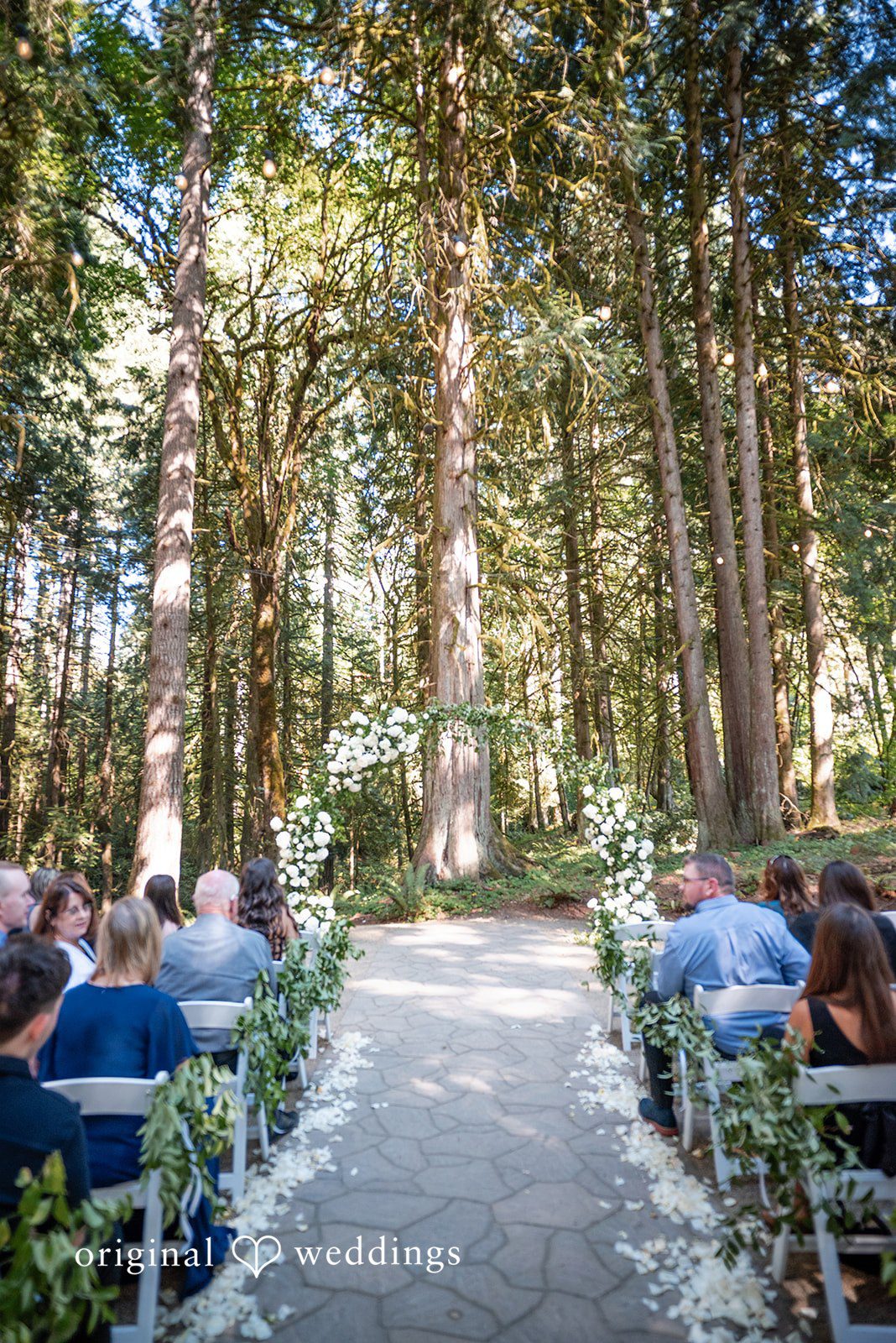 Kylie + Reymundo Guests seated along the forest aisle at Victorian Vineyard