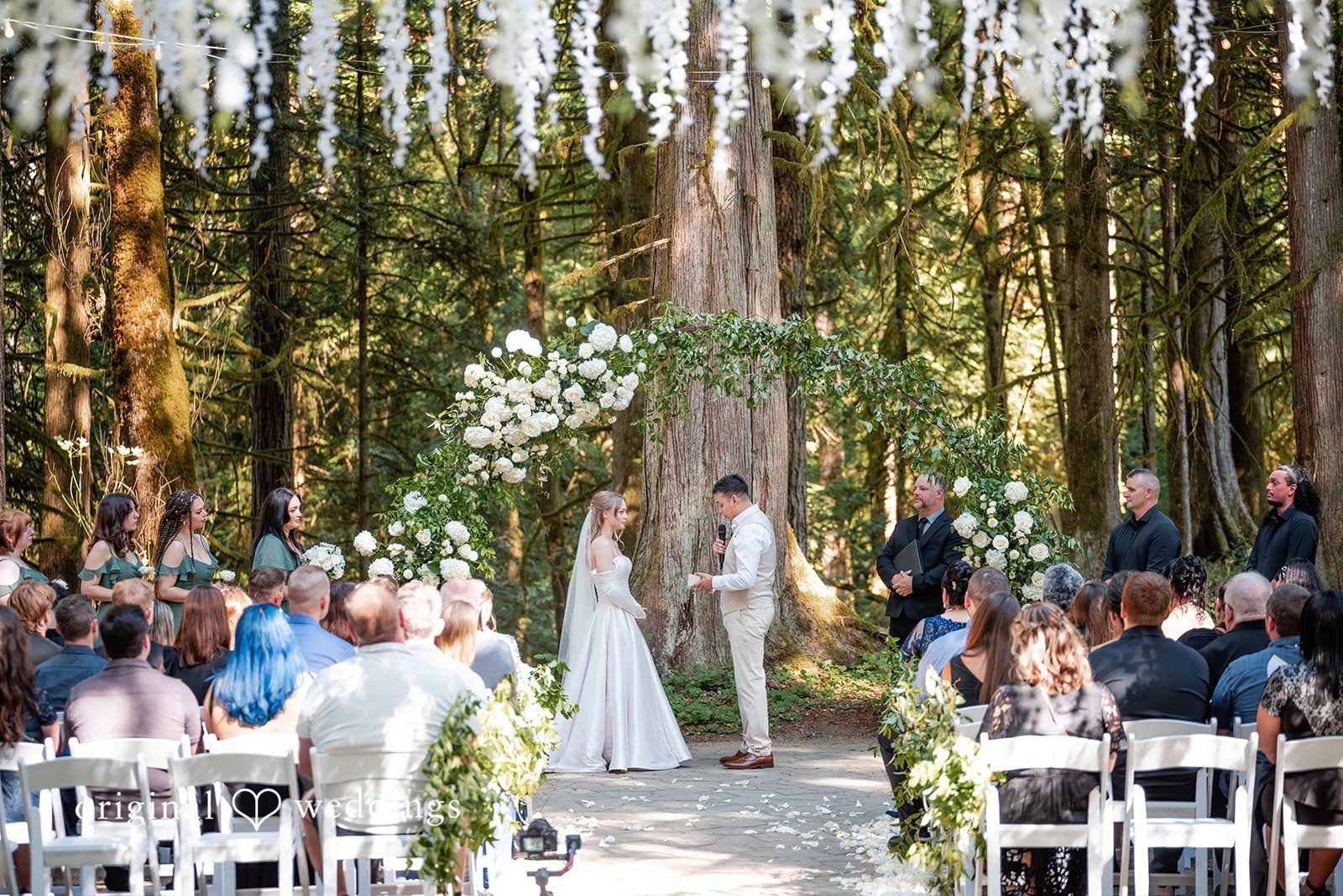 Kylie + Reymundo Wide view of the forest wedding ceremony