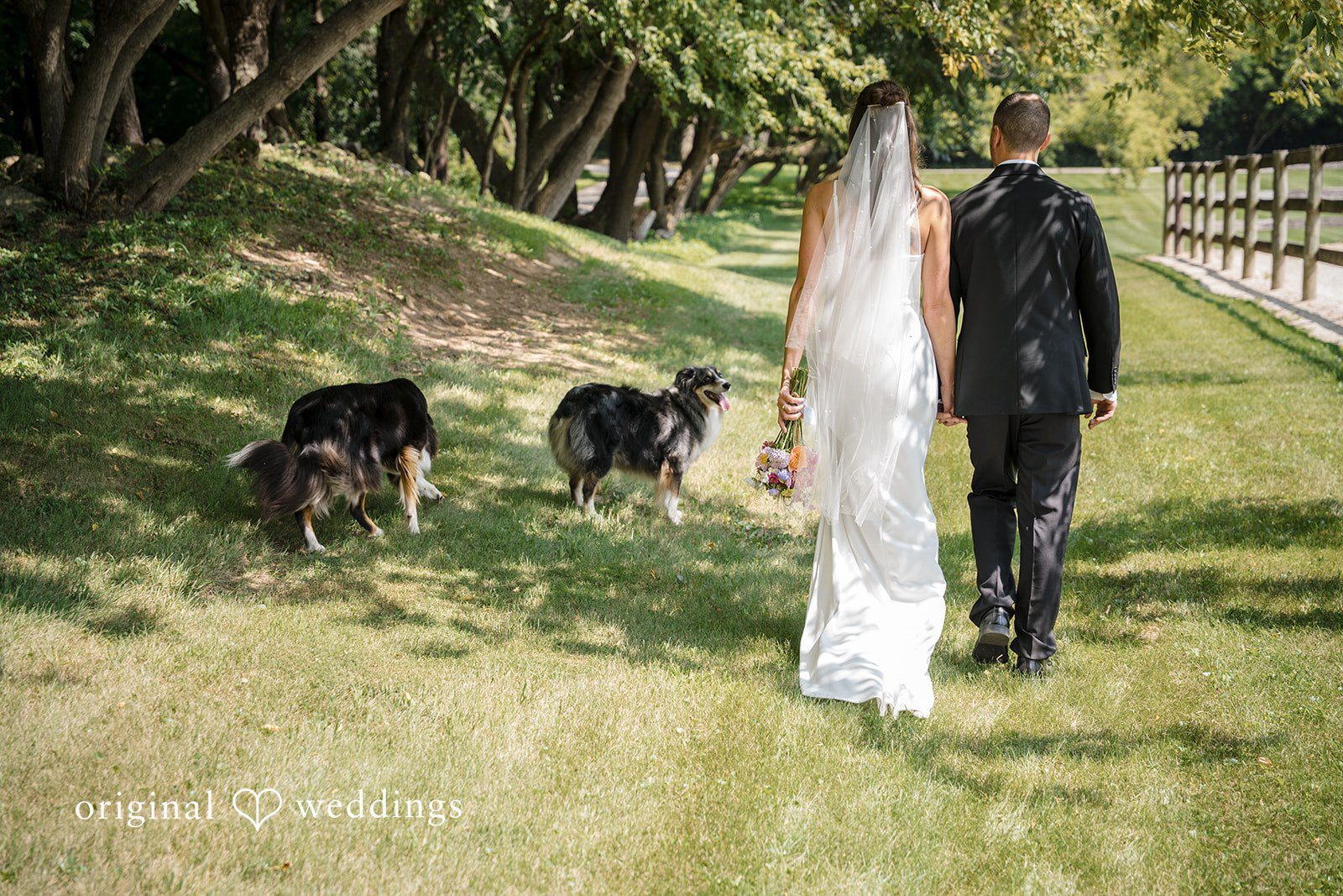 Becca + Kyle Waukesha County Courthouse Wedding | Becca & Kyle -