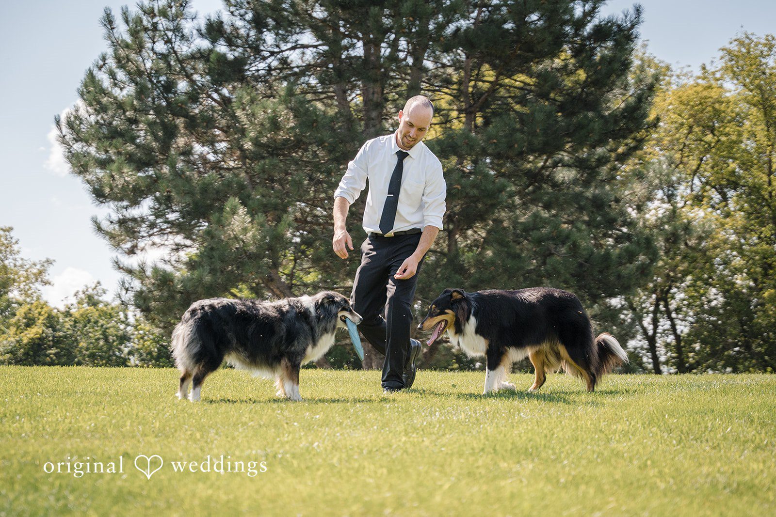 Becca + Kyle Waukesha County Courthouse Wedding | Becca & Kyle -