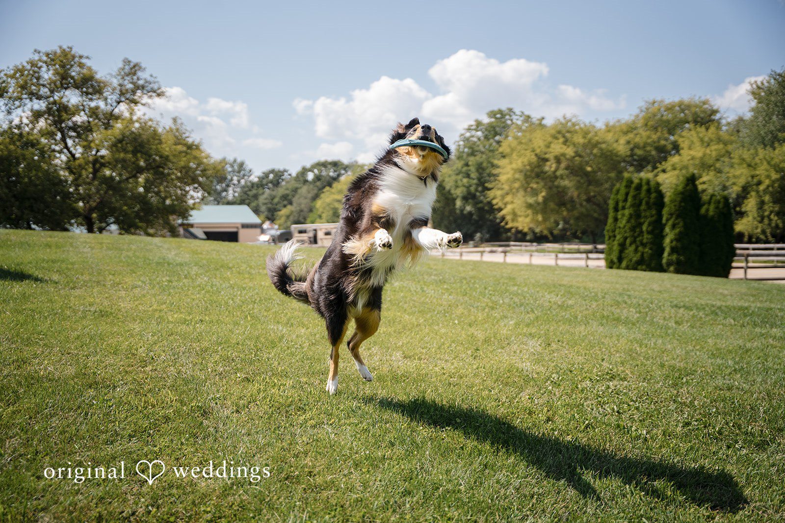 Becca + Kyle Waukesha County Courthouse Wedding | Becca & Kyle -
