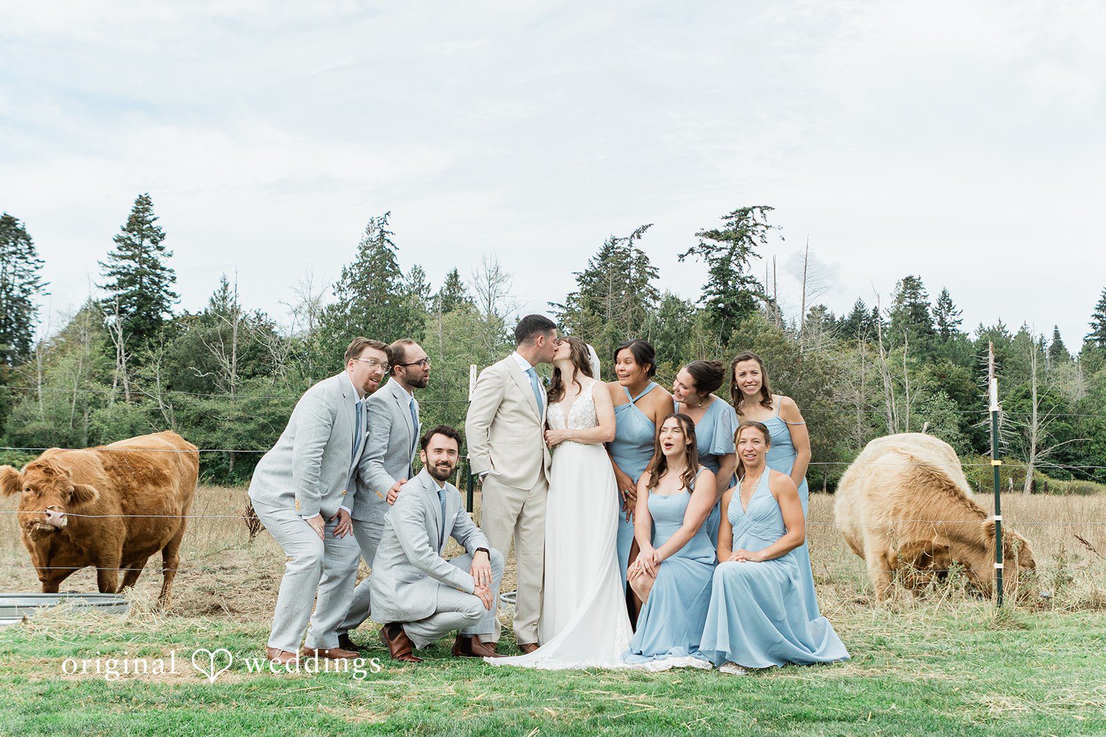Rachel + Matt Wedding party with highland cows at Wisteria Gardens