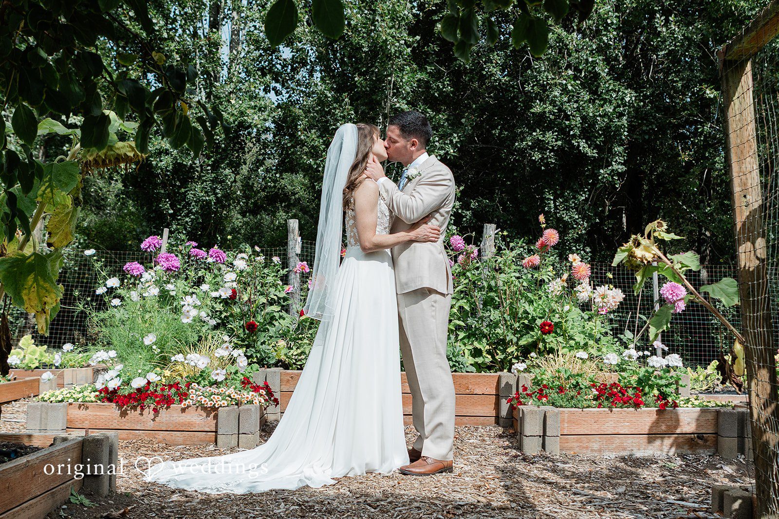 Rachel + Matt Couple standing in the flower garden at Wisteria Gardens